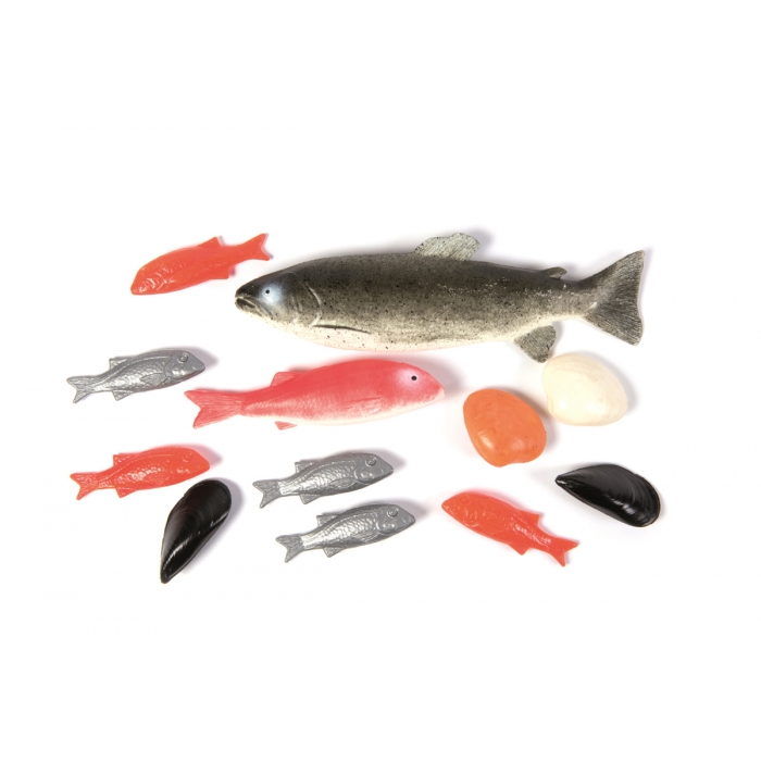 Realistic Fish Play Food Set for Toddlers, 12-Piece Play Kitchen Food for Ages 2+ LAP40070